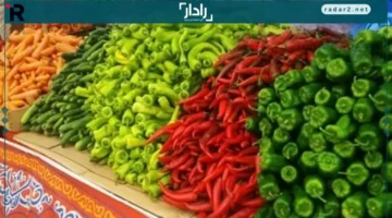 أسعار الطماطم والبطاطس والخضروات في الأقصر الثلاثاء 14 أكتوبر 2025